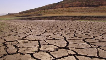 Here are some ways your body reacts when you're dehydrated