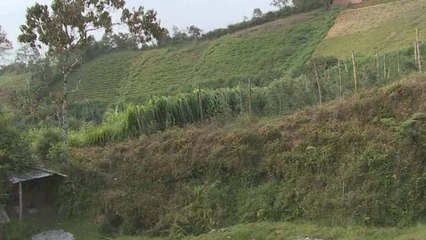 Tierras  compradas por Gobierno serán entregadas con un proyecto de casa propia