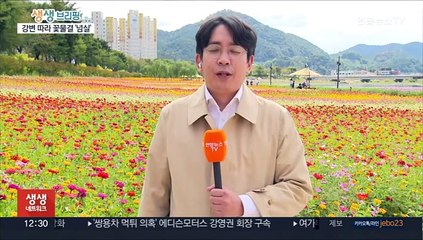 화사한 꽃과 화려한 불꽃…풍성한 축제로 만끽하는 가을