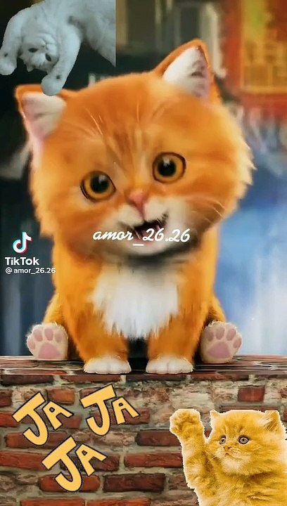 El gato insoportable