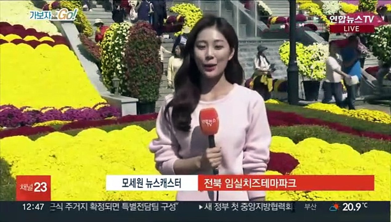 국화와 치즈 한가득 임실N치즈축제…3년 만에 대면 행사