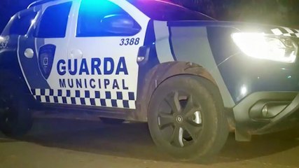 Mulher sai do trabalho e encontra carro arrombado com chave mixa na porta; trava carneiro evitou o furto