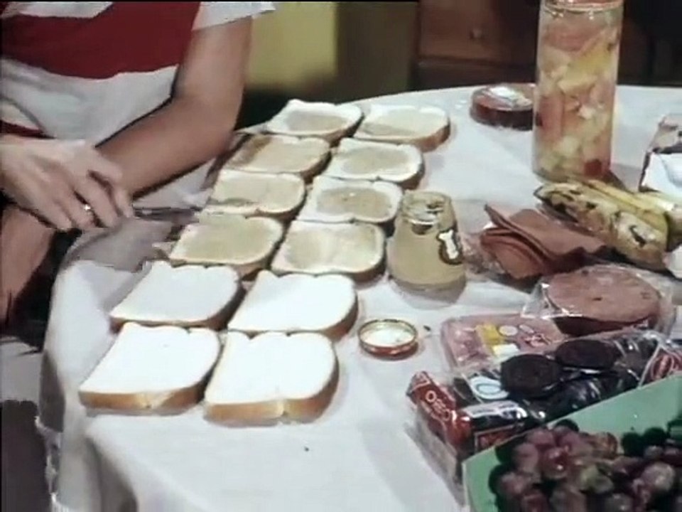 Flipper Staffel 2 Folge 24 HD Deutsch