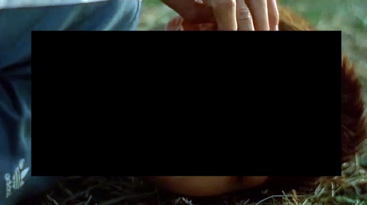 video 3