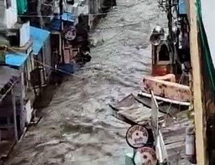 बर्बाद किसानों ने सरकार से मुआजने की लगाई गुहार