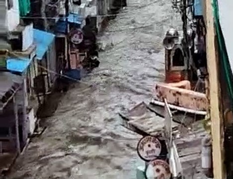 बर्बाद किसानों ने सरकार से मुआजने की लगाई गुहार