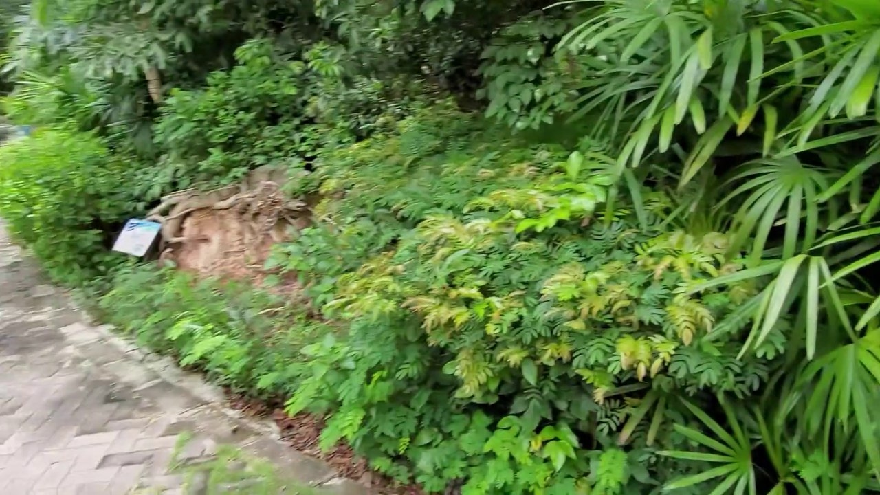 Shenzhen Soil and Water Conservation Park in Xili