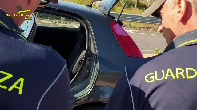Interventi unità cinofile nel Foggiano