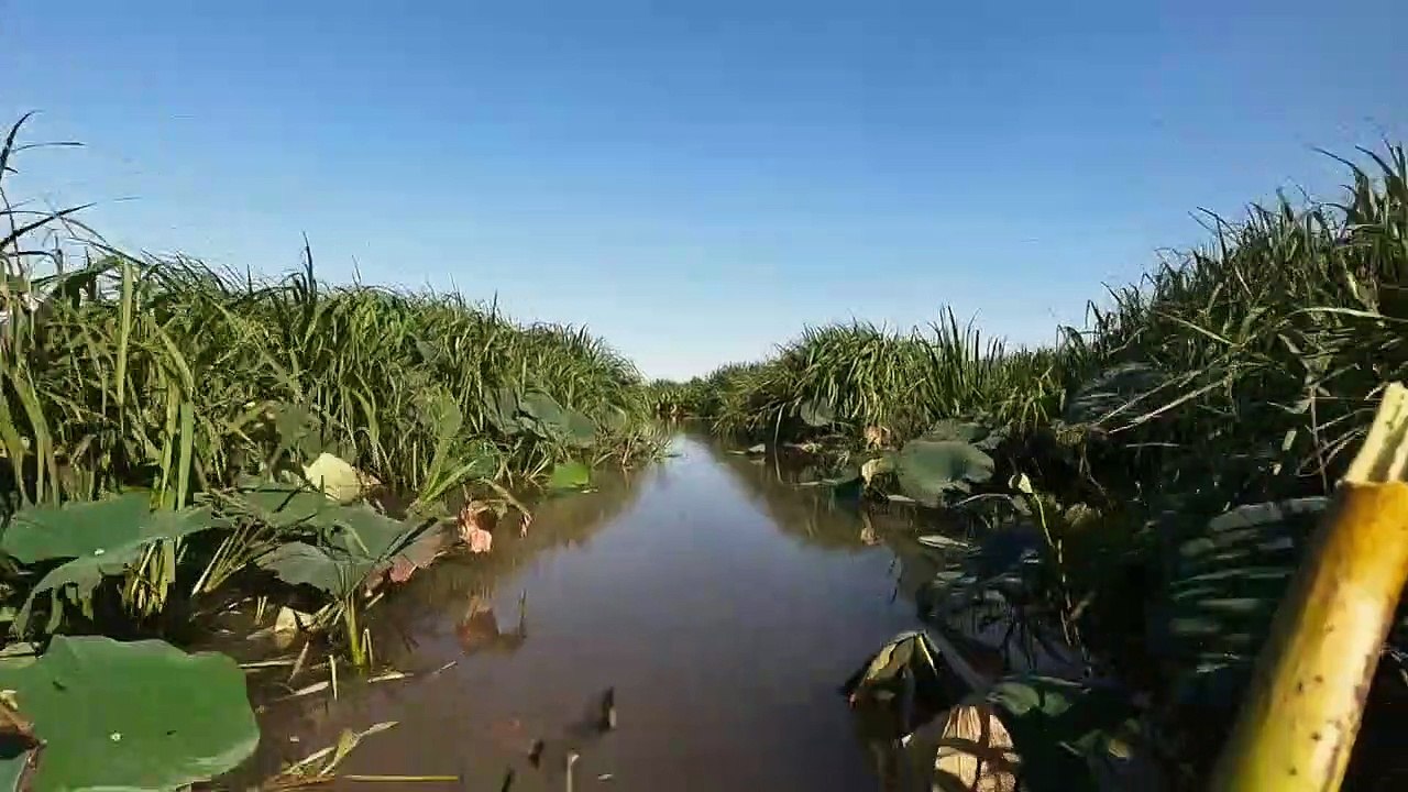 Louisiana Law - Die Wildlife-Ranger Staffel 2 Folge 2 HD Deutsch