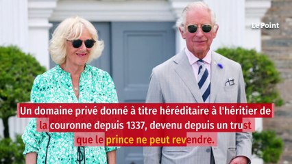 Prince William : sa vie de milliardaire à 40 ans