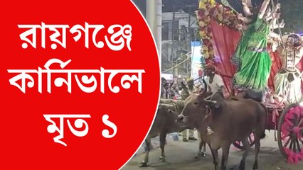 রায়গঞ্জের পুজো কার্নিভালে দুর্ঘটনা, গরুর ধাক্কায় নিহত ১ ও আহত অনেকে