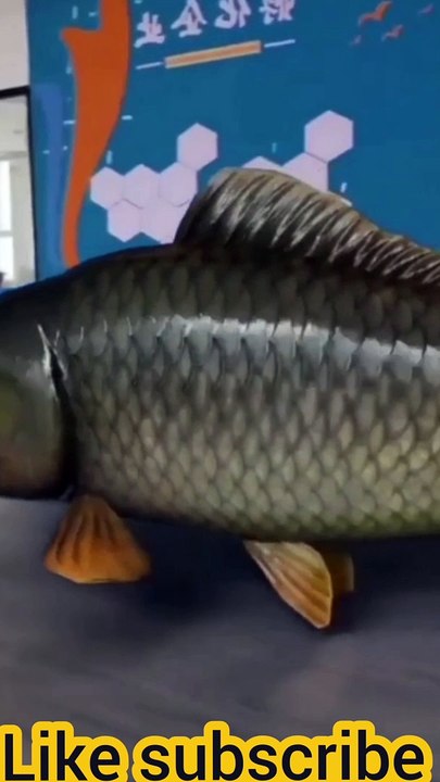 Trending short viral video - #trending #viral #short #video #suneelge#fish