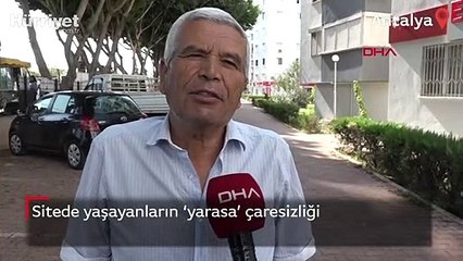 Sitede yaşayanların 'yarasa' çaresizliği