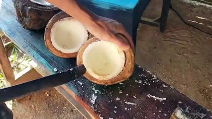 this online business coconut  shell can be sold every day business ideas