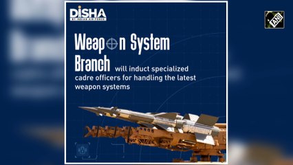 Indian Air Force  to get new weapons system branch