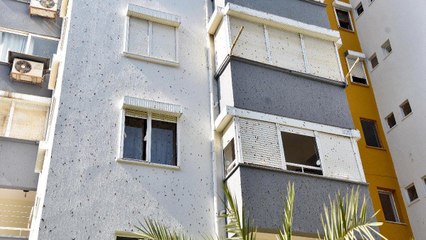 Sitede yaşayanların ‘yarasa’ çaresizliği