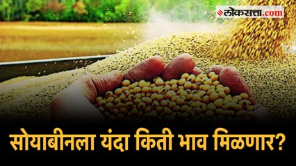 यंदा सोयाबीनचे भाव कोणत्या घटकांवर अवलंबून आहेत? |Soyabean