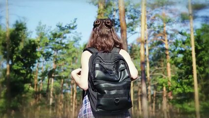 These Dog Breeds Are Unbreakable (but they can break you)