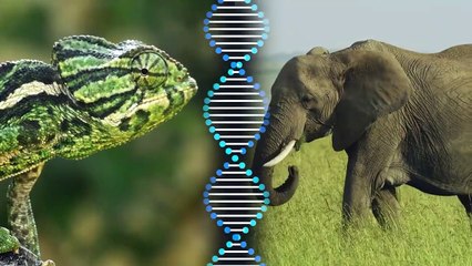 This Is Why They Are Always a Target