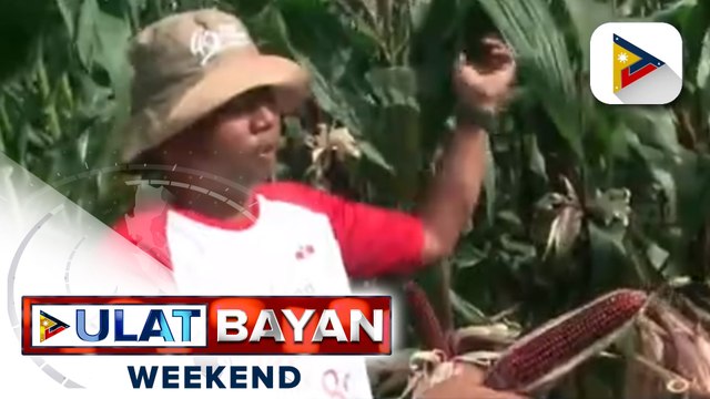Nasa 40 magsasaka mula sa iba't ibang bahagi ng bansa, kinilala ng East-West Seed Company