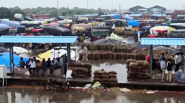 प्रदेश में इस संभाग में चौबीस घण्टे से मूसलाधार बारिश, बांधों के गेट खोले, गांव बने टापू, रविवार को भी फिर बारिश का अलर्ट