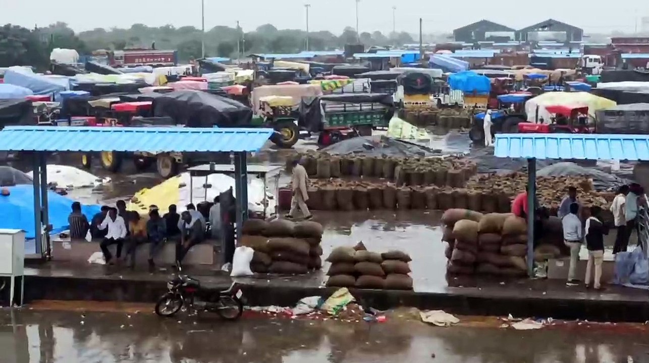 प्रदेश में इस संभाग में चौबीस घण्टे से मूसलाधार बारिश, बांधों के गेट खोले, गांव बने टापू, रविवार को भी फिर बारिश का अलर्ट