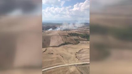 Tarladan ormana sıçrayan yangın kontrol altına alındı