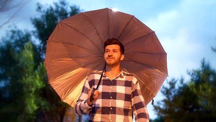 The Best Cat Breeds For All 12 Horoscope Signs