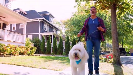 These Are 10 Things Dogs Hate About You