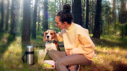 These Are 10 Amazing Things Dogs Do Naturally