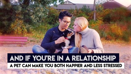 The 10 Reasons Why Having A Pet Is Good For You