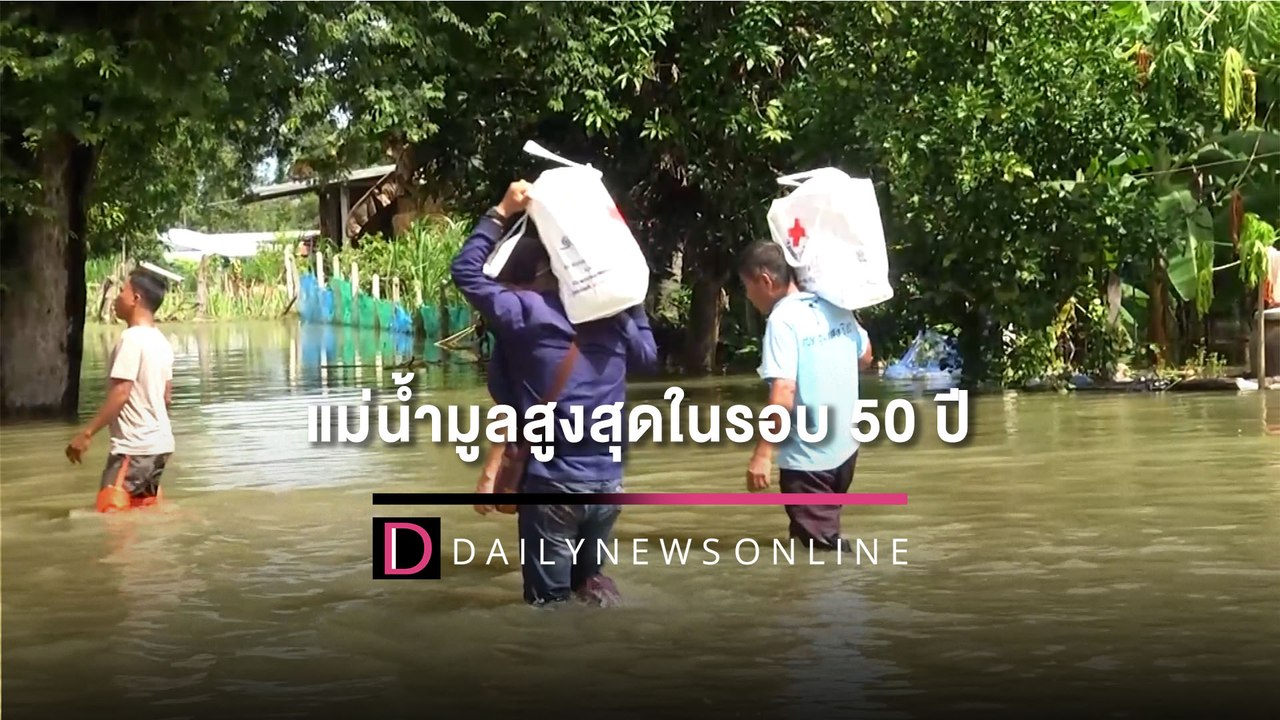 บุรีรัมย์แม่น้ำมูลสูงสุดในรอบ 50 ปี 2 อำเภออ่วมแล้ว สัตว์เลี้ยงไม่มีอาหาร|HOTSHOT เดลินิวส์ 08/10/65