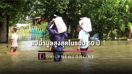 บุรีรัมย์แม่น้ำมูลสูงสุดในรอบ 50 ปี 2 อำเภออ่วมแล้ว สัตว์เลี้ยงไม่มีอาหาร|HOTSHOT เดลินิวส์ 08/10/65