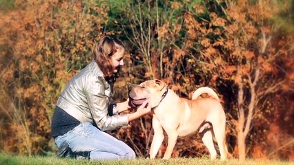 These Are 10 Most Ancient Dog Breeds