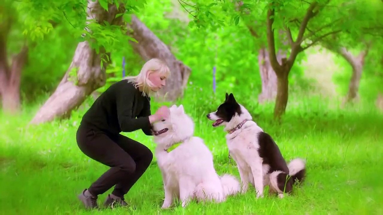 These Are All Dog Breeds That Currently Exist