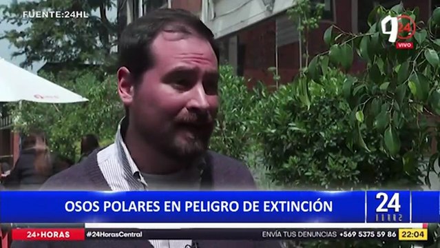 Osos polares en peligro de extinción por deshielo de Glaciares