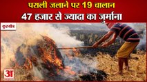 19 Challans For Burning Stubble In Kurukshetra|पराली जलाने पर किसानों पर 47 हजार 500 रुपए जुर्माना