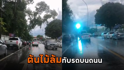 ระทึก ! วินาทีต้นไม้โค่นล้มขวางถนน กระชากสายไฟขาด ทับรถพังเสียหาย