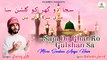 Eid Milad Un Nabi Naat Paak | Mere Sarkar Aaye Hain | Rabi Ul Awwal Naat Sharif | 2022 Islamic Day