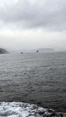 Giant Pod of Pacific White-Sided Dolphins Play Around Boat