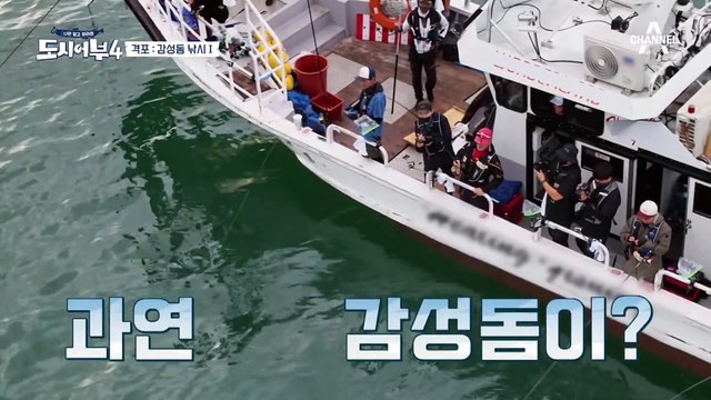 ★경축★ 시즌 4 첫 감성돔 강림! 그 주인공은?