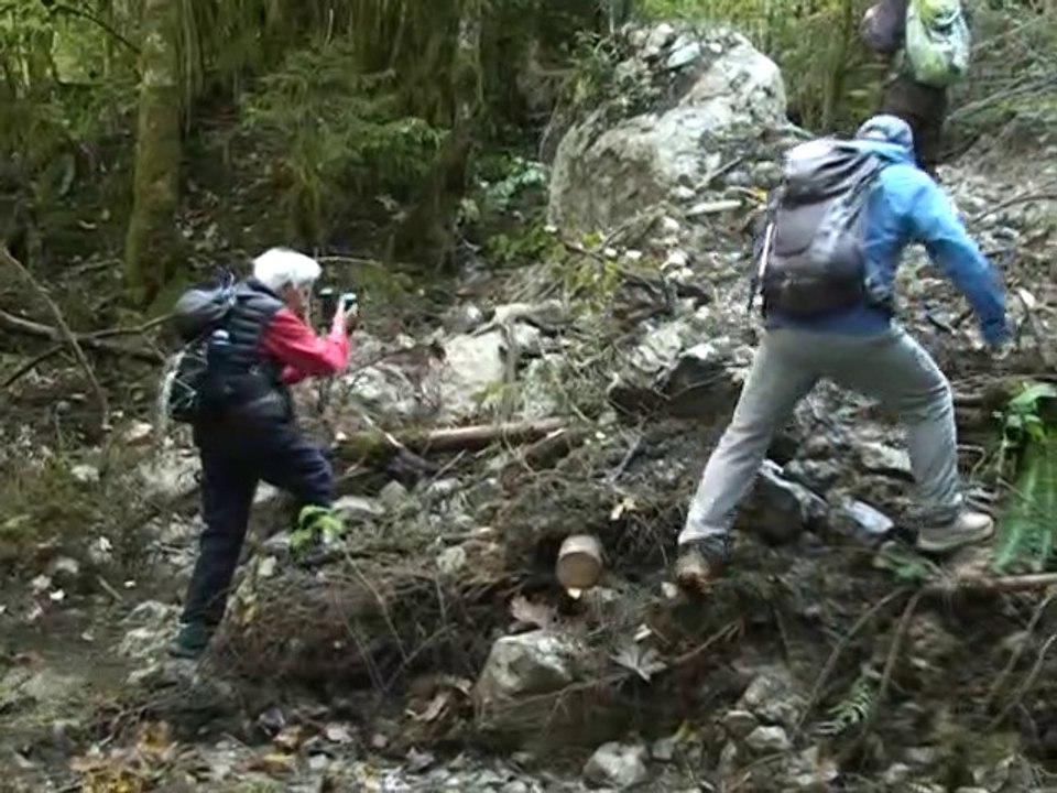 Boucle des Antonins - La Diat - St Pierre de Chartreuse 38380