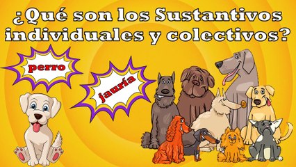 ¿Qué son los sustntivos individuales?