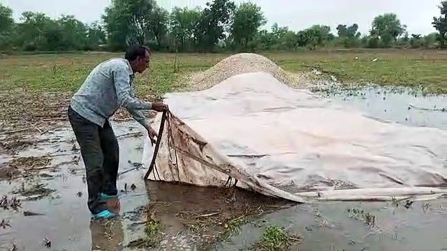 दिन भर बरसे बादल, फसलों को नुकसान, कल 13 जिलों में भारी बरसात का अलर्ट