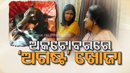 Dog owner flies from London to Uttar Pradesh to find ‘August’