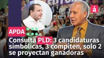 Consulta PLD: 3 candidaturas simbólicas, 3 compiten, solo 2 se proyectan ganadoras