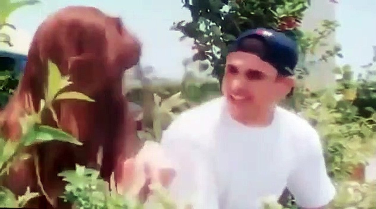 Djounoun al Hayat 2/2 فيلم جنون الحياه