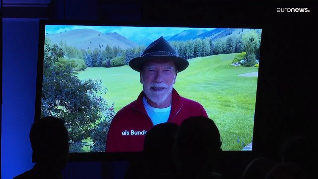 Австрия в преддверии президентских выборов