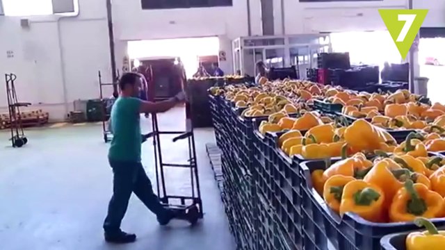 Cómo evitar las intoxicaciones alimentarias