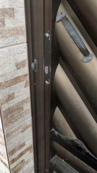 Door Answered by Adorable Dog